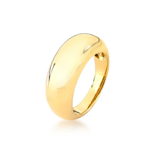 ANEL DE OURO 18K
